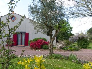 Esprit Zen - LʼAiguillon-sur-Vie - 4