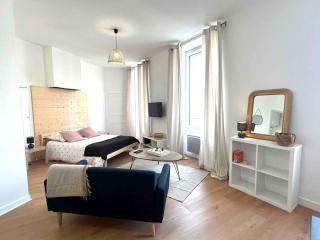 Studio le «Victor Hugo» , hyper centre ville - Vienne - 9