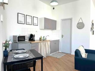 Studio le «Victor Hugo» , hyper centre ville - Vienne - 1