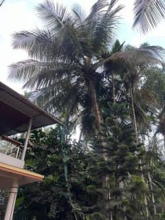 Sadhana Homestay - Alībāg - 0