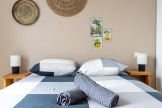 Le Surf : Triplex (T4) parking, rooftop et clim - Toulouse - 5