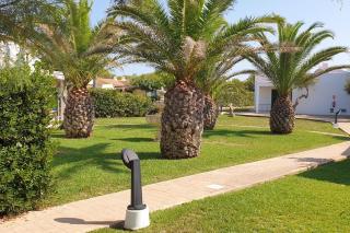 Apartamentos las golondrinas - Cala en Bosch - 5