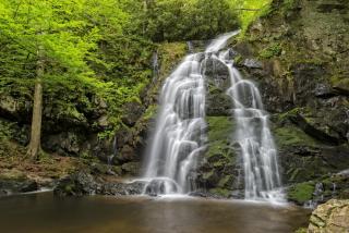 Hemlock Hollow, Pool Access, 1089 FREE tickets each paid day, Dollywood and More - Sevierville - 1