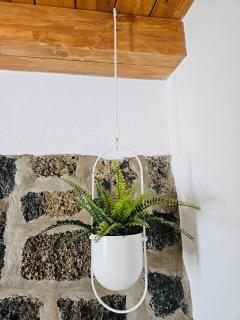 Casa Celi - Teguise - 3