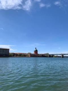 Appartement T2 Lespinet - Toulouse - Parking gratuit & wifi - Toulouse - 3