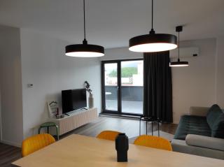 Modern Apartment with mountain view - Braşov - 8