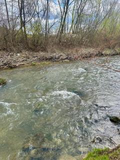 Siedlisko Nad Potokiem - Hołuczków - 3