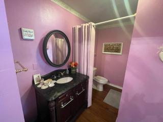 Irishette - Charming Suite in 1893 Victorian Home - Dublin - 2