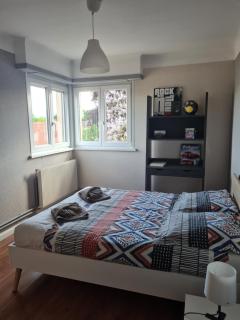 Appartement classé 3 étoiles, parking gratuit, proche centre-ville - Colmar - 2