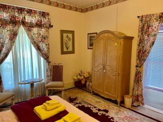 Irishette - Charming Suite in 1893 Victorian Home - Dublin - 7