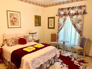 Irishette - Charming Suite in 1893 Victorian Home - Dublin - 8