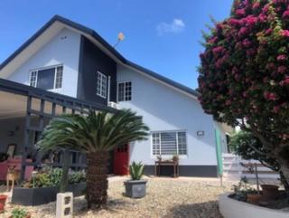 Palmhouse Aruba 1-2 persons - Pos Chiquito - 7