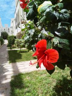 In Paradise Appart - 9