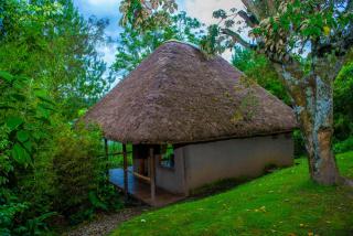 Sharp Island Gorilla Lodge, Lake Bunyonyi - Kashasha - 4