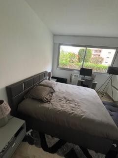 Petit Nid - Monaco - Monte-Carlo - 4