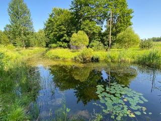 Kursi Summer Manor - 1