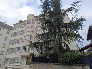 Brifaut - Dijon - 7