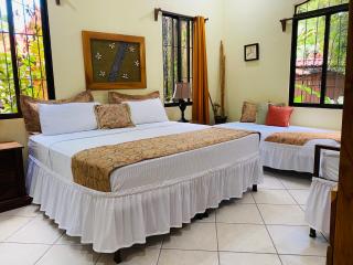 Enchanted sonido de la selva - 4