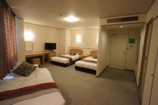 Hotel Areaone Hiroshima Wing - Higashihiroshima - 8