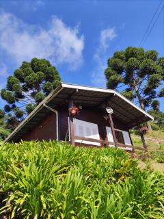 Chalé Manacá House - Campos do Jordão - 7