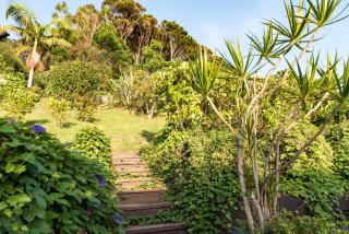 Seabeds - Paihia - 5