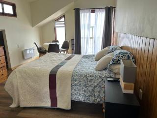 Eco Nautic Hostel - Valdivia - 8
