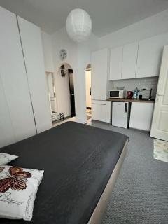 City Center White Studio in Bucharest - 1