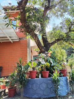 Sweet home - Kottayam - 6