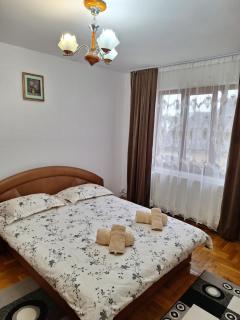 Pensiunea Casa Ancuta - 5