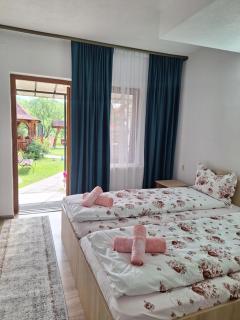 Pensiunea Casa Ancuta - Vadu Izei - 9