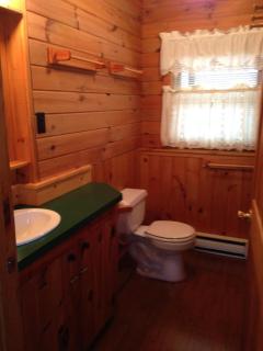 Rough Cut Lodge - Gaines - 9