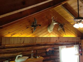 Rough Cut Lodge - Gaines - 3