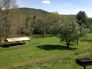 Rough Cut Lodge - Gaines - 2
