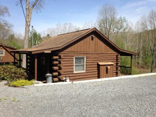 Rough Cut Lodge - Gaines - 1