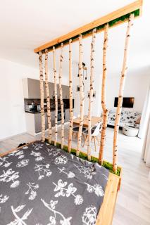 Apartmán v centru Železné Rudy se zahrádkou - 0