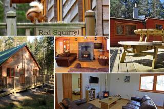 Cairngorm Lodges - Aboyne - 7
