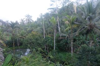 Gunung Kawi House - Tegalalang - 7