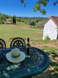 FLAYOSQUET - Calm and authenticity in Provence - Draguignan - 6