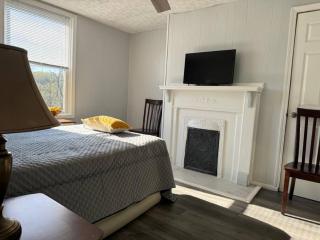 Zen/Peaceful Retreat/Pittsburgh/Canton avenue - Pittsburgh - 8