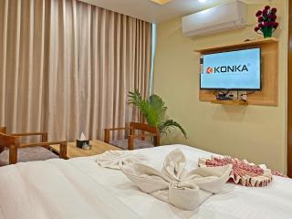 Hotel Lumbini Airport - 2