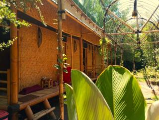 Uncle Hippie's Dream - Gili Meno - 4