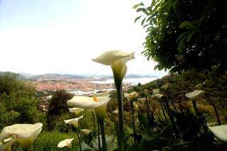 CASA TARTARUGA - La Spezia - 8