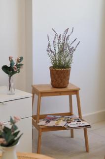 Sibs Sanlúcar Atlantico Playa Vistas Reformado - 7