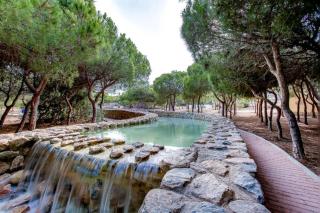 Apartamento con piscina - La Mata - 4