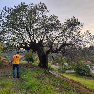 Togo iztuzu Stonehouse-5 - Boğazağzı - 4