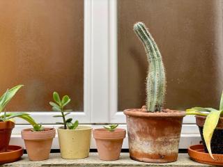 Maison des 4 Saisons by Melrose - 5