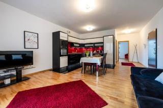 Rimini Moxy TE&AM Cracow - Krakow - 1