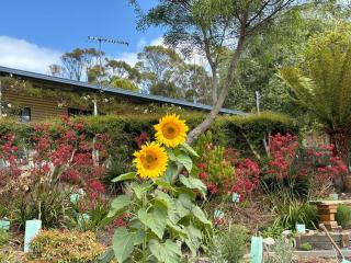 Bruny Serenade - Adventure Bay - 8