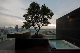 Elegant 2-Bedroom Luxury Duplex on the 32nd floor of 185 Rajadamri - Bangkok - 1
