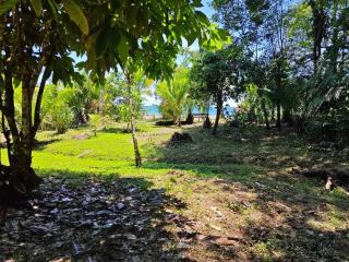 Selva Azul - Nuquí - 0